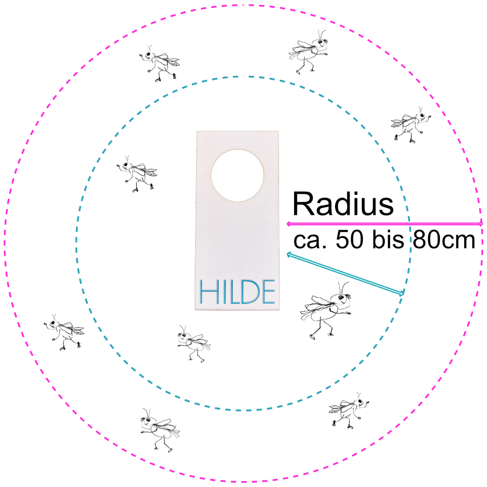 Aktionsradius von HILDE Schlupfwespen ab Kärtchen