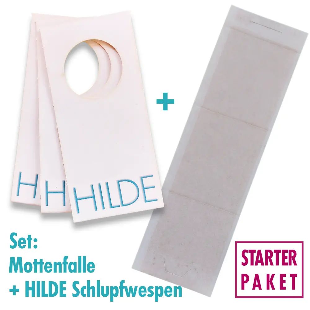 Starterpaket HILDE Schlupfwespen & Mottenfalle
